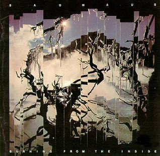 GoreGahan1's tweet photo. And this Geordie riff reminds me of "Antonin Artaud" by Bauhaus, from the album released on the same date as Fire Dances...15 July 1983🎸🖤🎸🖤
#GeordieWalker #DanielAsh #KillingJoke #Bauhaus
Antonin Artaud https://t.co/eJwhJshiF5 via @YouTube https://t.co/8Vz9PJhqAh