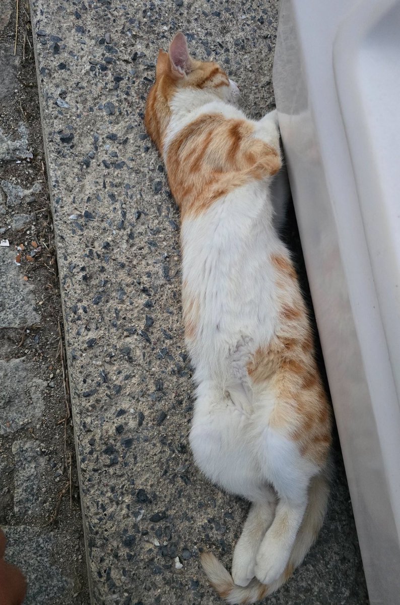 içine cin girmiş