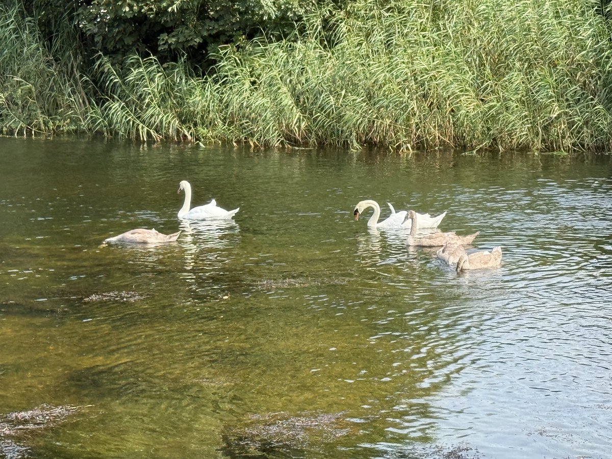Back to visit my alma mater today <a href="/uniofgalway/">Ollscoil na Gaillimhe | University of Galway</a>. Spent some very happy years there 💚💚💚
#pathology
#MedEd
