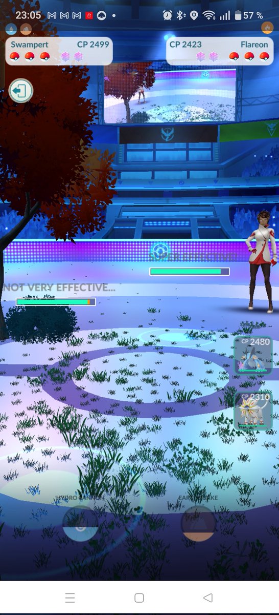 The game dont work...
When Candelas first mon was dead her second became visible, But mine was still invisible 🤣🤣