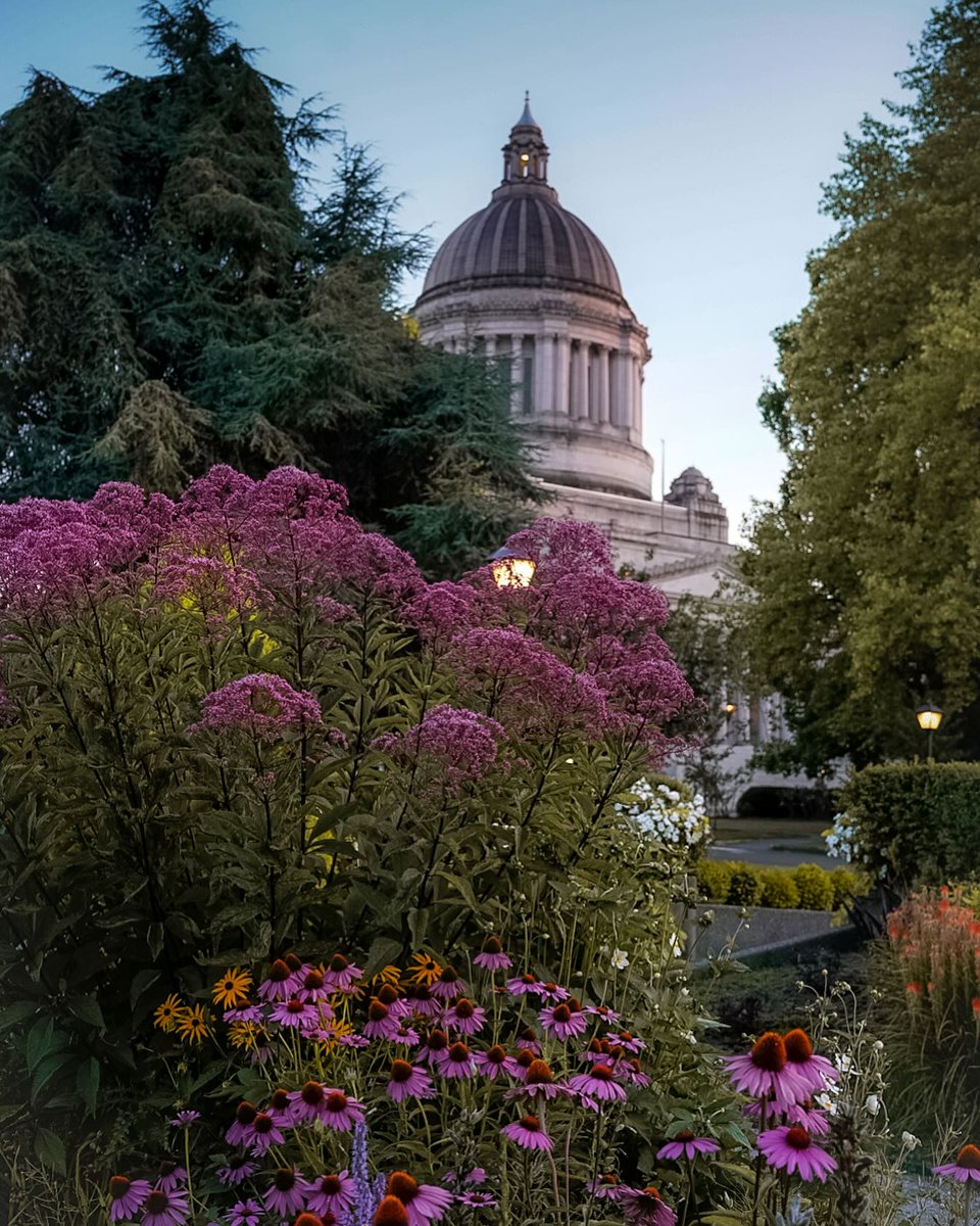 Whether you're looking for good eats, outdoor adventure, or arts and culture, Olympia has you covered. <a href="/Dreams_Abroad/">Dreams Abroad</a> put together a list of must-visit spots for your trip to Washington State's capital. #WaState #PNW

Learn more: bit.ly/4mA1lvd
📸: deana_turner | IG