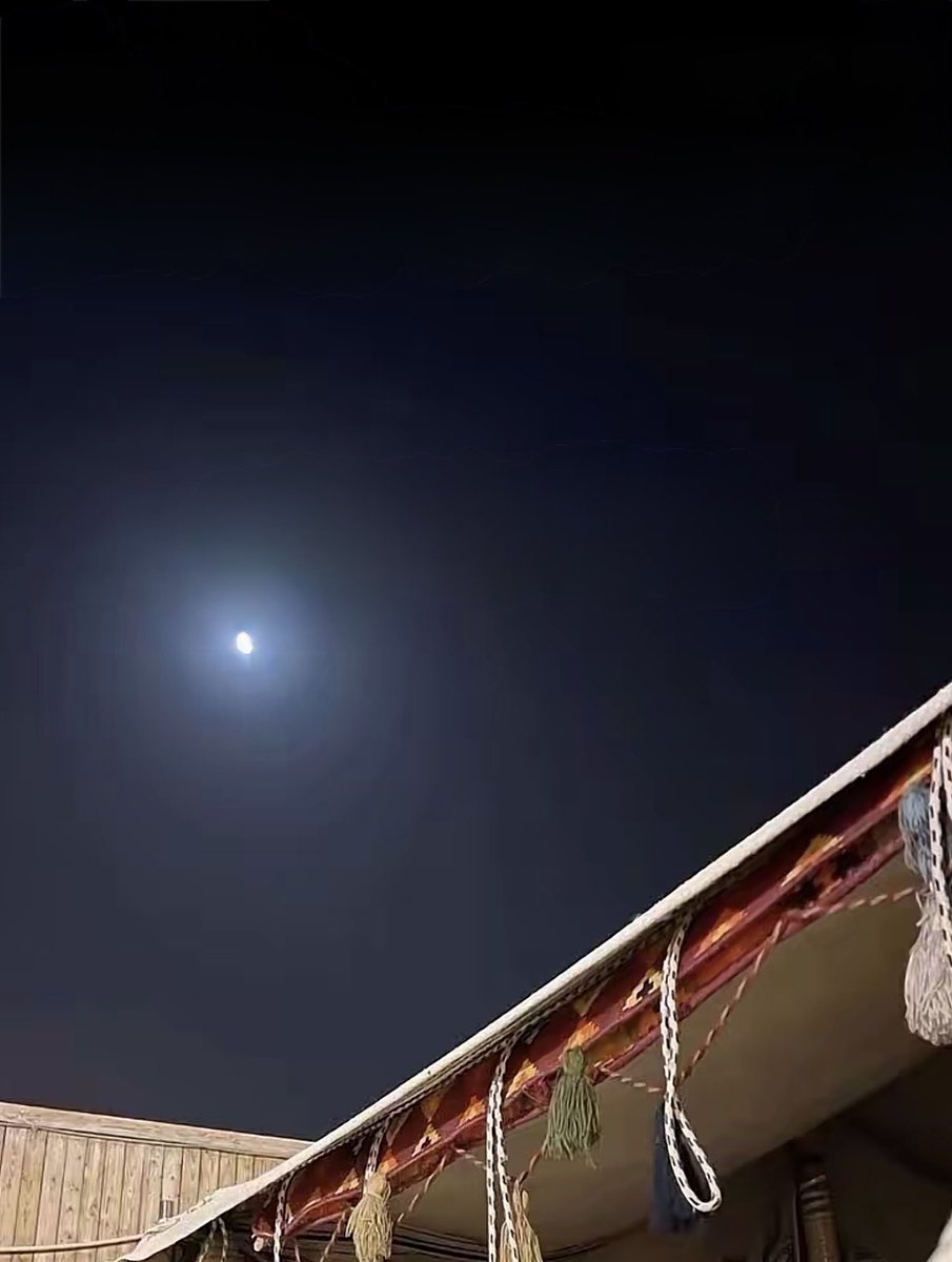 مايسكن قصور الغلا غير غالي