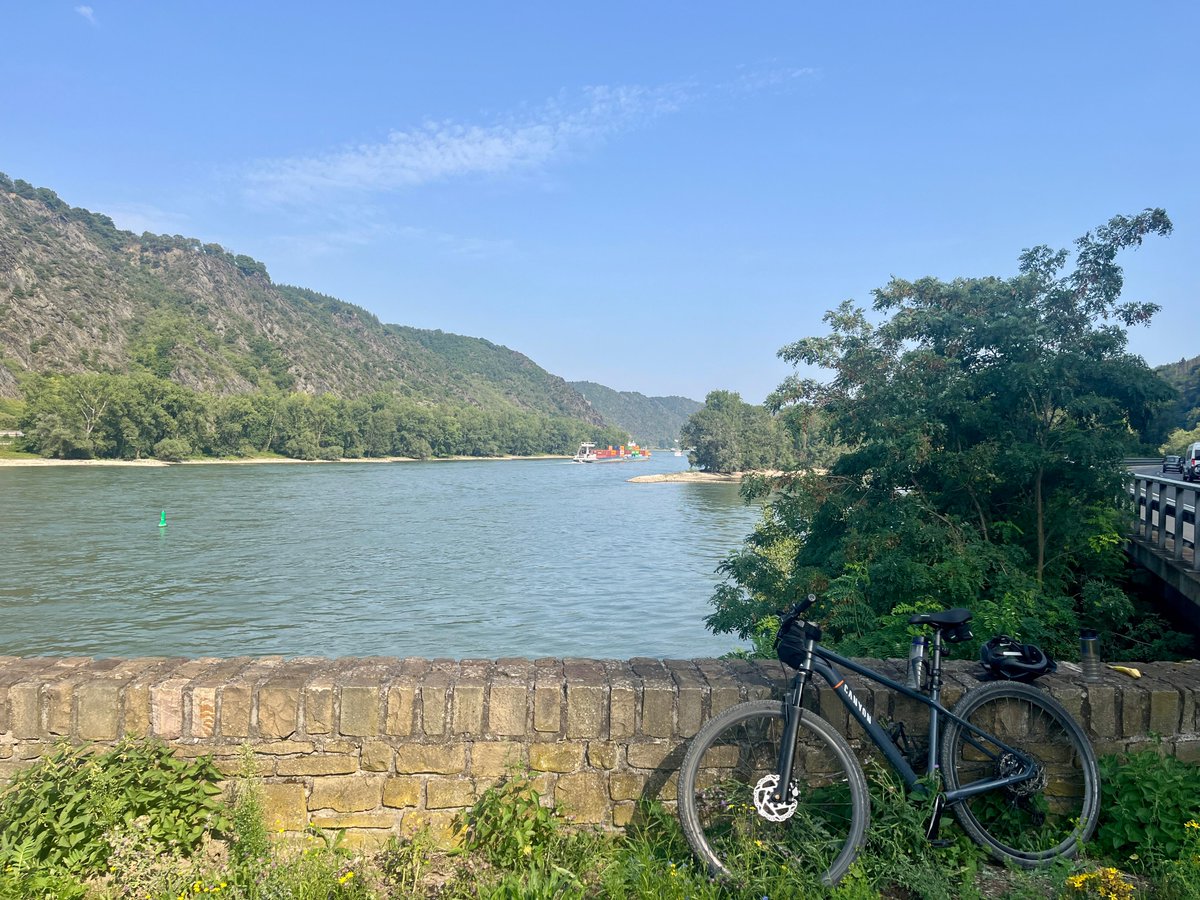 Constantin tweet media