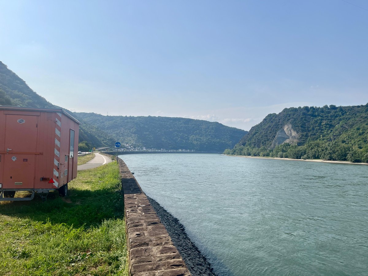 Constantin tweet media