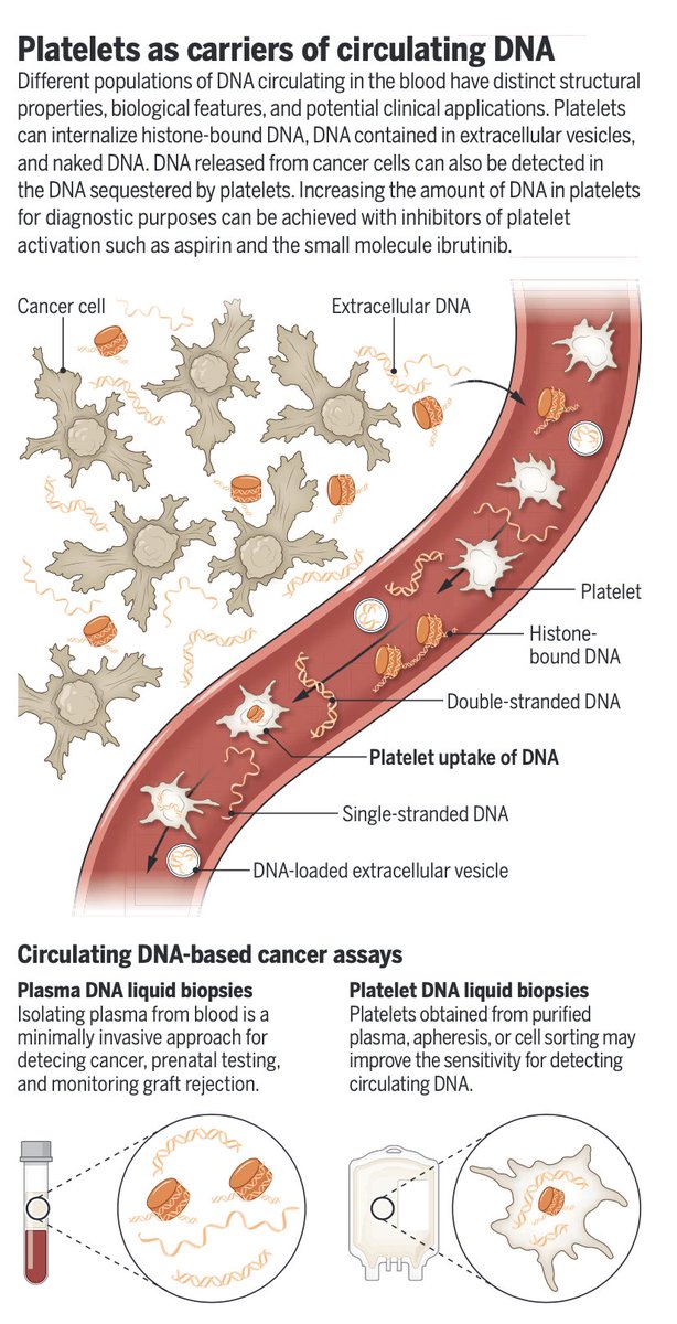 Eric Topol (@erictopol) on Twitter photo Platelets sequester and harbor cell-free tumor DNA, which could enhance our ability to make early, microscopic diagnosis of cancer
<a href="/ScienceMagazine/">Science Magazine</a>
science.org/doi/10.1126/sc…
science.org/doi/10.1126/sc… Platelets sequester and harbor cell-free tumor DNA, which could enhance our ability to make early, microscopic diagnosis of cancer
<a href="/ScienceMagazine/">Science Magazine</a>
science.org/doi/10.1126/sc…
science.org/doi/10.1126/sc…