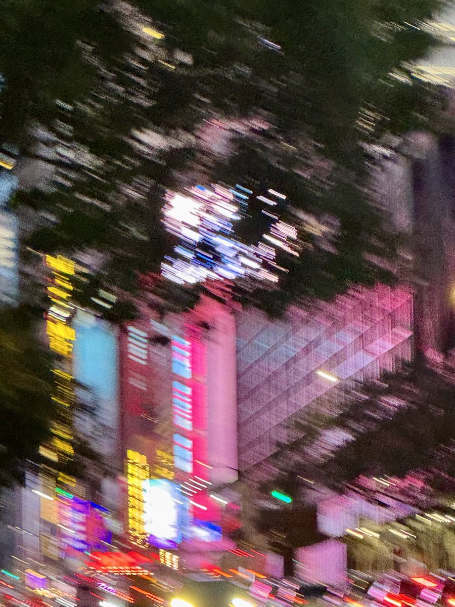 Lux. 
<a href="/Gallery365photo/">Gallery365photo</a>
#Gallery365in2025 #Gallery365in2025DailyPrompt