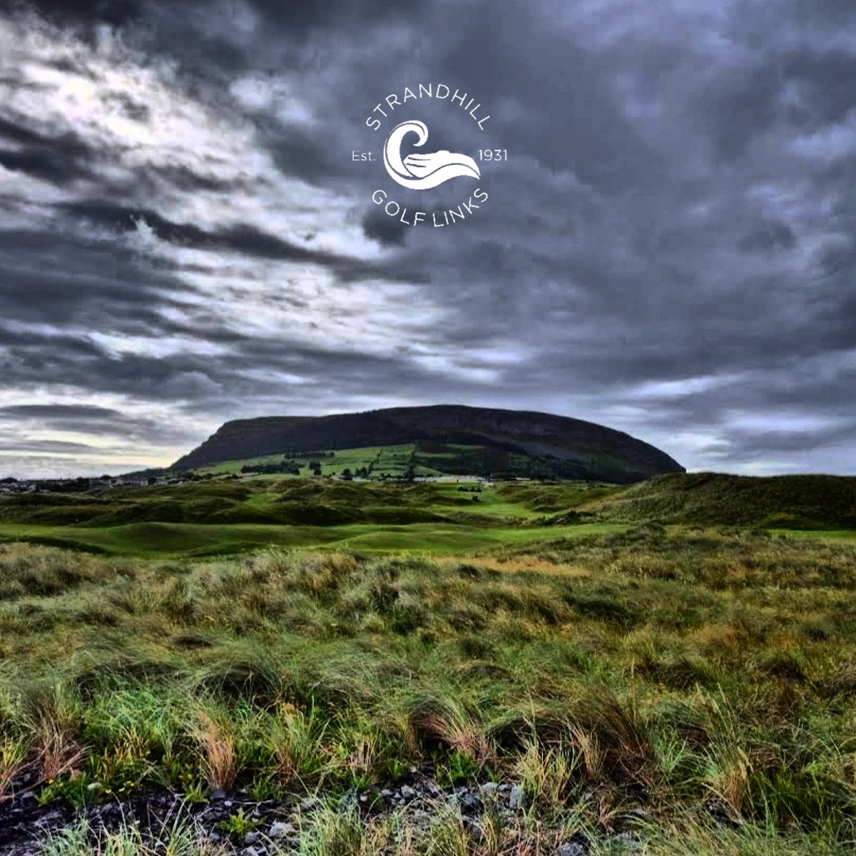 Strandhill Golf Club tweet media