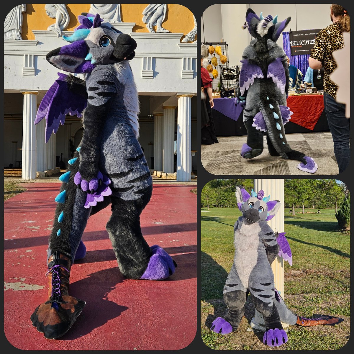 Dust the Dutchie 🔜 🧭 tweet media