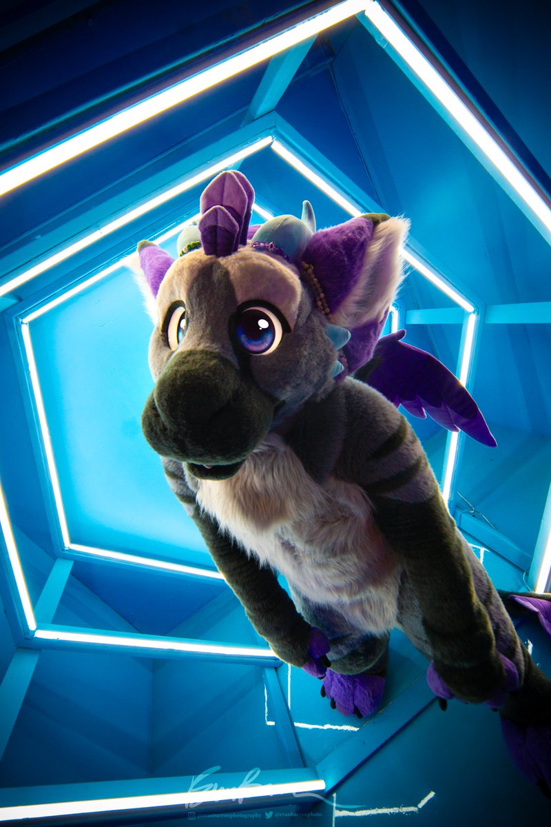 Dust the Dutchie ➡️ 🏠 (@dustdutchie) on Twitter photo How to find me @M̶F̶F̶ <a href="/FurrySiesta/">Furry Siesta - Follow us on BSKY!</a>!
Say hello, take photos, ask for hugs! 💜
I'm non-verbal in suit, but I'll happily chirp for you! 🪶 How to find me @M̶F̶F̶ <a href="/FurrySiesta/">Furry Siesta - Follow us on BSKY!</a>!
Say hello, take photos, ask for hugs! 💜
I'm non-verbal in suit, but I'll happily chirp for you! 🪶