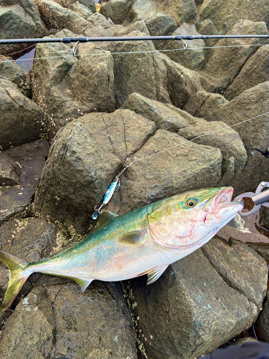 とあるカフェ店員Angler@道南 tweet media