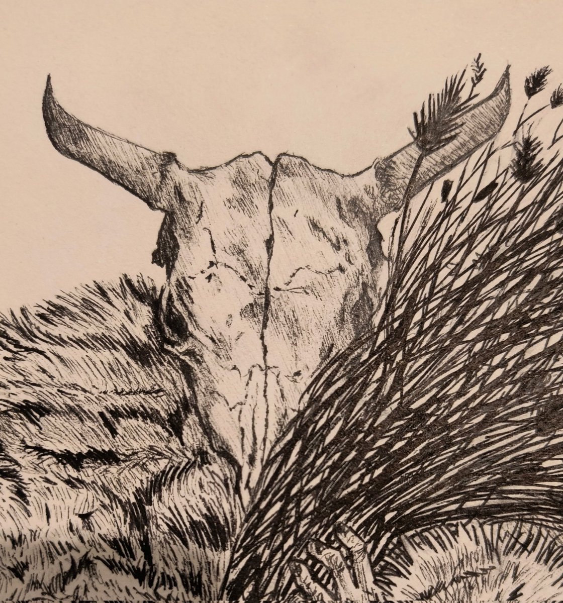 uh hey so o finished this drawing