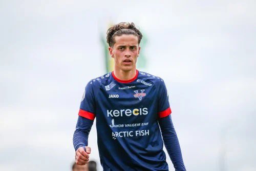 Stuðningsmaður_1 (@loveforbesta) on Twitter photo 