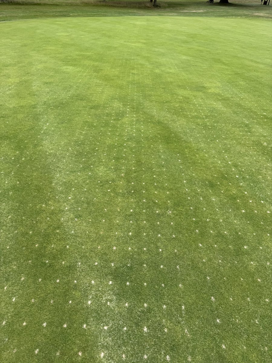 VGR Top Changer in action .The  picture shows greens treated  the day before . Course open with golfers unaffected after 2 1/2 tonnes of sand now in the profile . <a href="/CampeyTurfCare/">Campey™ Turf Care Systems</a> <a href="/VGR_equipment/">VGR</a>