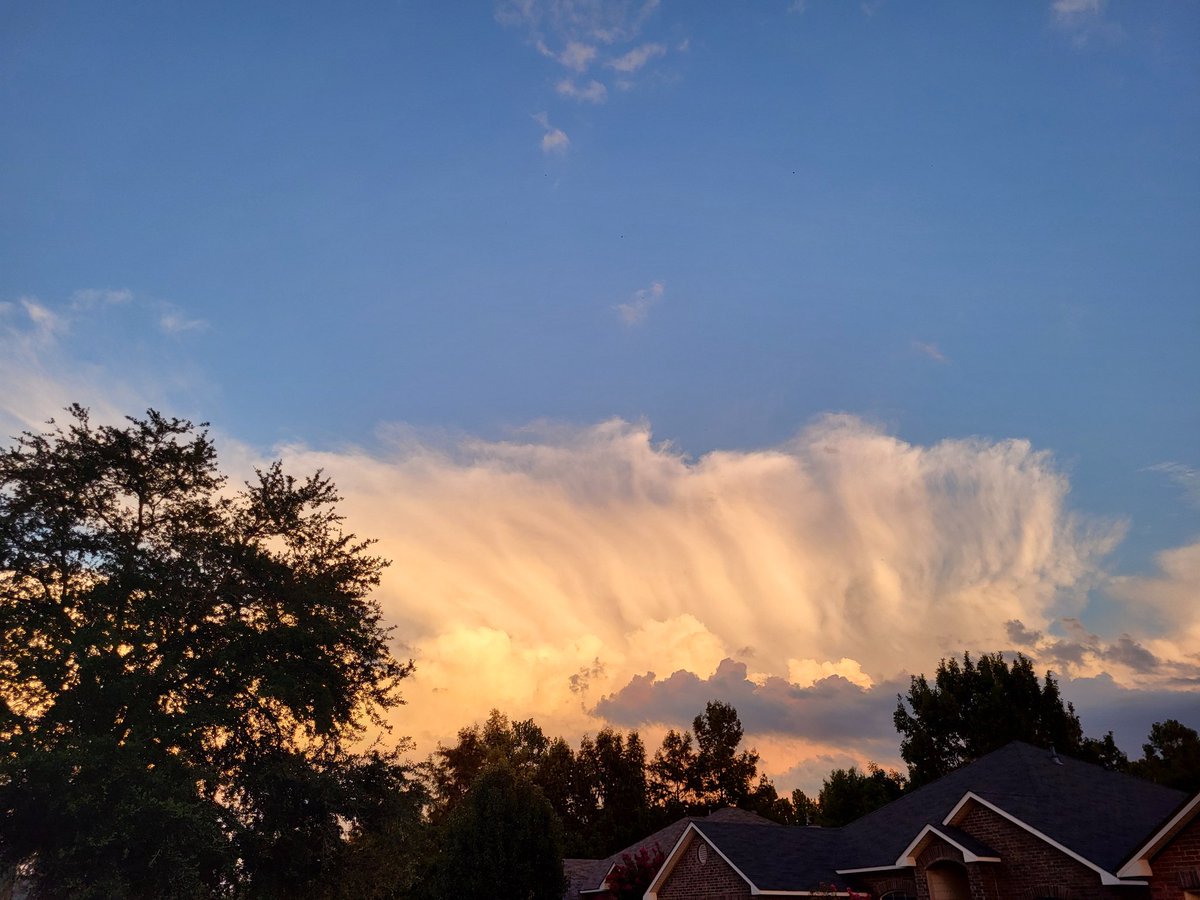 Shane N. Pendleton tweet media