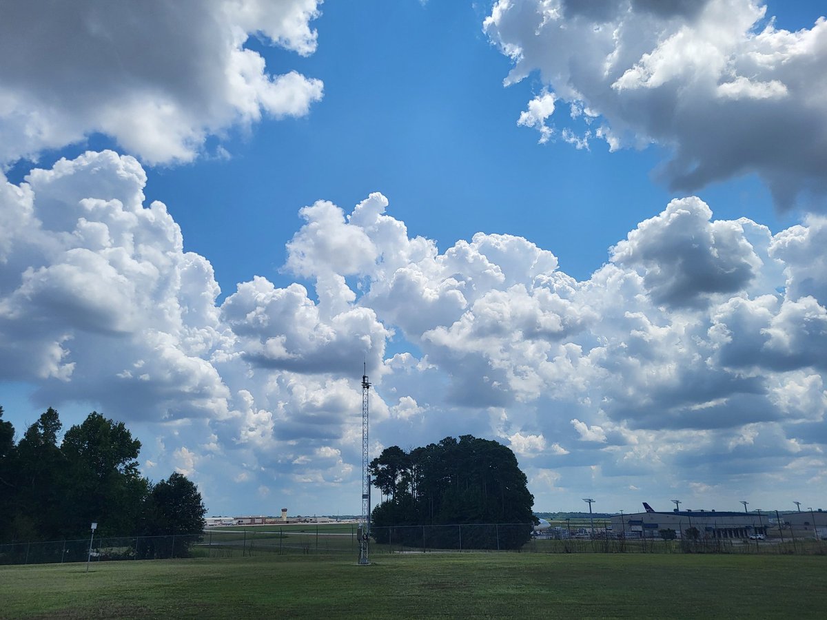 Shane N. Pendleton tweet media