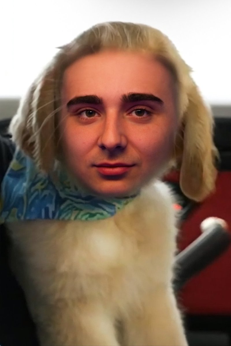 MtgWraith's tweet photo. This is what Milo is going to look like. #LacyGenes https://t.co/mpbhWcjB2V
