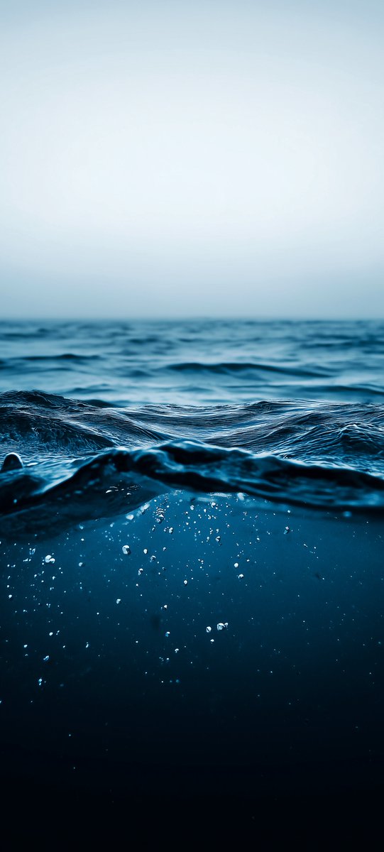 Earth (@earthcurated) on Twitter photo 