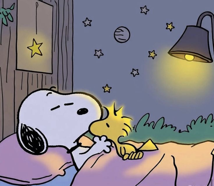 snoopyhero53's tweet photo. Good night 😴🌃 https://t.co/s84JZ0zKSp