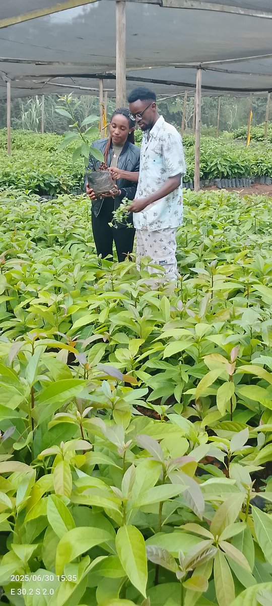 uwase2002's tweet photo. In the heart of nature, love blossoms. Hand in hand, they tend to their shared dreams. Every seed planted is a promise of a beautiful future. Together, they grow, side by side, in a world painted with love and greenery.
@AgiriteMedia https://t.co/IDW0hGWMHw
