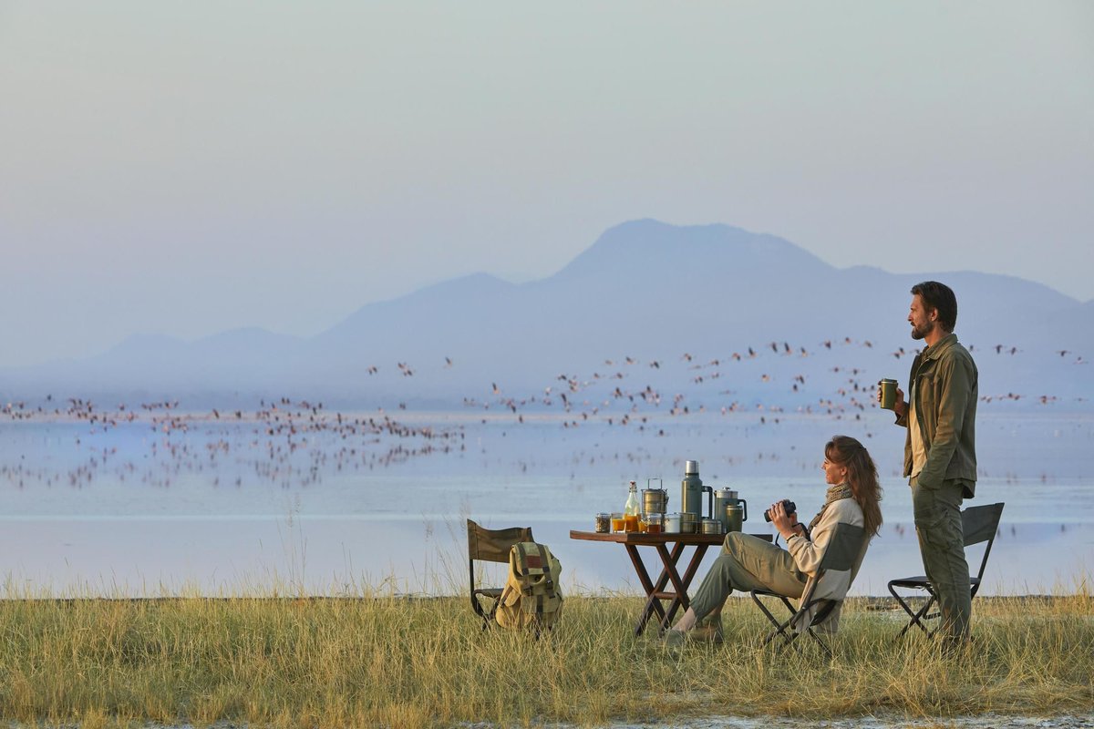 Rothschild Safaris tweet media