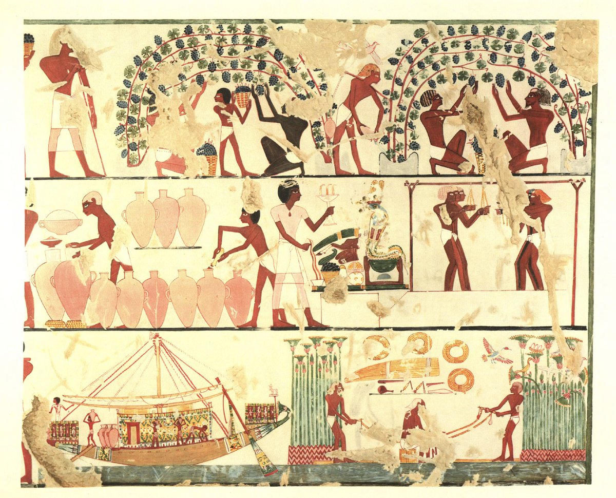 Institute for the Study of Ancient Cultures tweet media