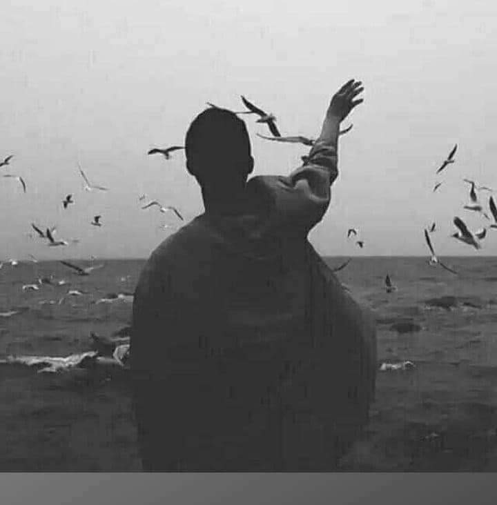 اترك من أراد الرحيل عنك
فلو كان فيه خير لبقى
وكن وحيدا بين الزحام
خير لك من ان يكون
لديك العديد من أصحاب المصالح 👉👌