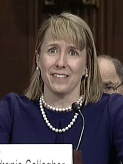 🚨 BREAKING: An Obama judge just unilaterally struck down and ended President Trump's policies that eliminate DEI at universities.

She is now ensuring federal funding to schools with DEI.

U.S. District Judge Stephanie Gallagher thinks she is president. IT HAS TO STOP.