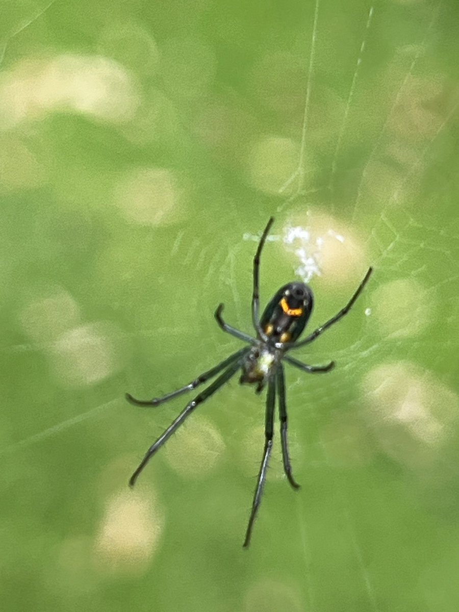 HUGO CATALÁN tweet media