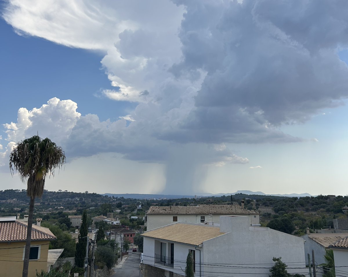 TempsIB3's tweet photo. ☀️ Demà ja no repetirem el creixement de niguls que hem tengut avui i ahir a Mallorca; tendrem un cel destapat arreu.
🌡️ Les temperatures canviaran poc, però atenció entre dissabte i fins dilluns, perquè en aquest període es podrien superar els 40ºC.
📸 M. Rosa B. / Antònia R. https://t.co/voS4AB7oRv