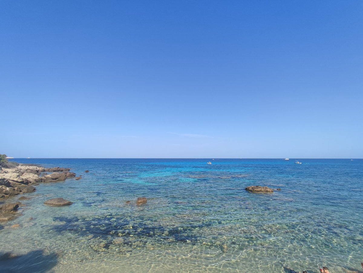 TempsIB3's tweet photo. ☀️ Demà ja no repetirem el creixement de niguls que hem tengut avui i ahir a Mallorca; tendrem un cel destapat arreu.
🌡️ Les temperatures canviaran poc, però atenció entre dissabte i fins dilluns, perquè en aquest període es podrien superar els 40ºC.
📸 M. Rosa B. / Antònia R. https://t.co/voS4AB7oRv