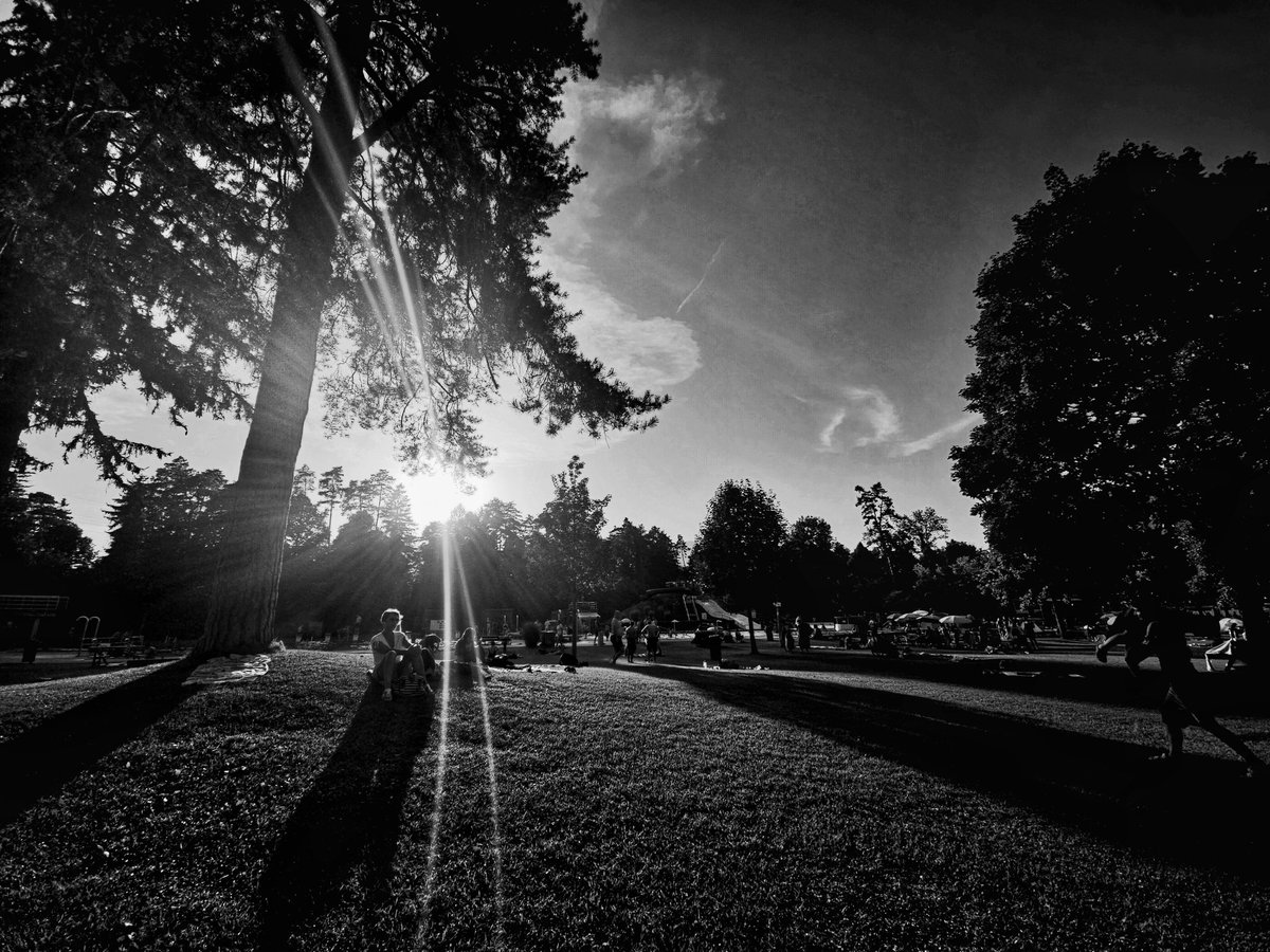 Drabbles153's tweet photo. #NFTkaltenstein #kaltenstein #Documentary #today #32Grad #Waldbad #Feldkirch #Vorarlberg #Austria #monochrome #photography https://t.co/FYKCpU9m63