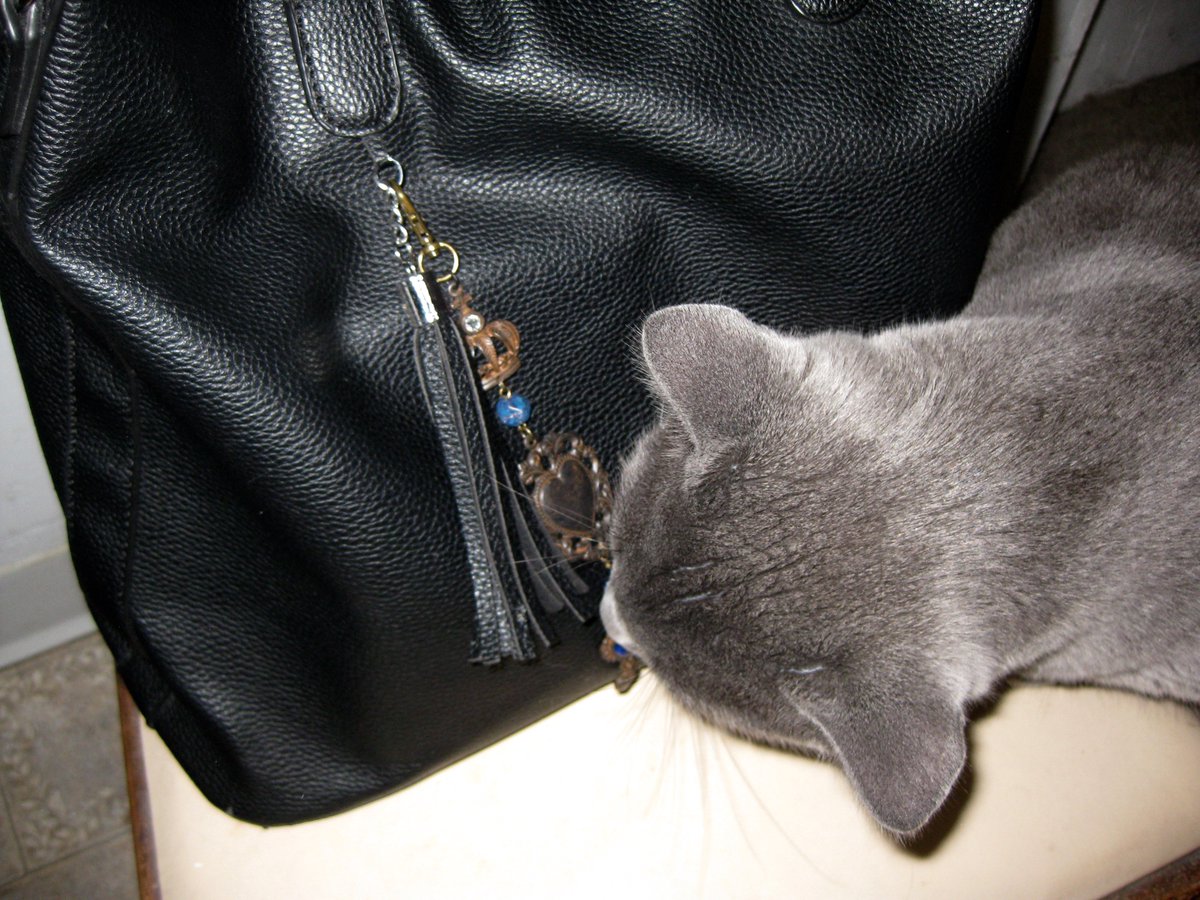 ellin_anderson's tweet image. “What’s in that bag, anyway? A hat-rack? A broomstick? A Book of Shadows?” Say who you are with these one-of-a-kind #BagCharms, a trend that lets you personalize your bag or tote. Choice #charms for your magical #MaryPoppins adventures. #BookologyThursday  etsy.com/shop/SummerStr…