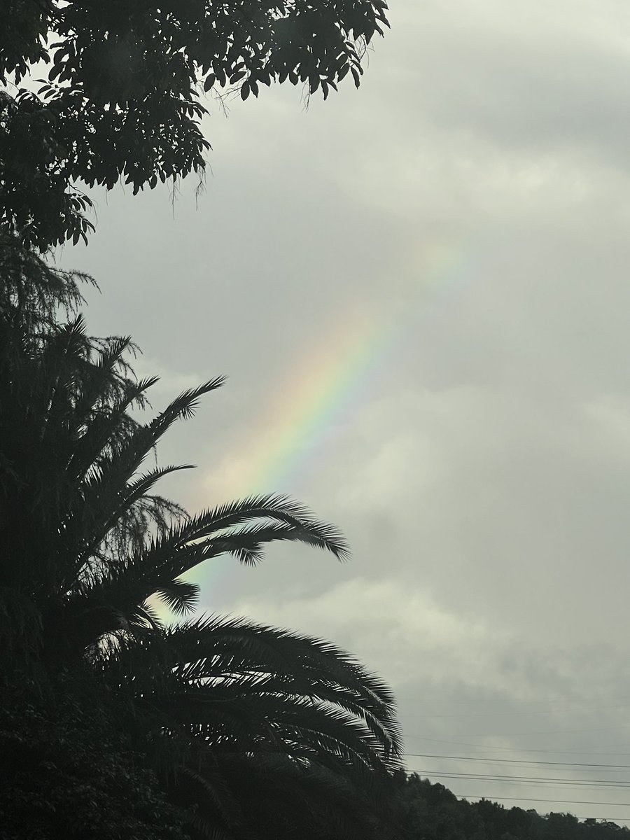 hgdpoio2's tweet image. 这次是真跌还是骗炮？最近被回抽拉麻了！