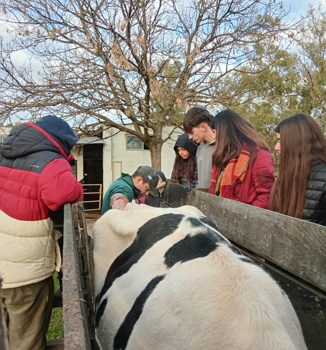 Nuestra Gente
Instituto Agropecuario “San José”
San Vicente / Bs. As.
Alumnos del Séptimo Año realizaron sus Practicas de Diagnóstico de Preñez por Ecografía.
#EducaciónAgraria
