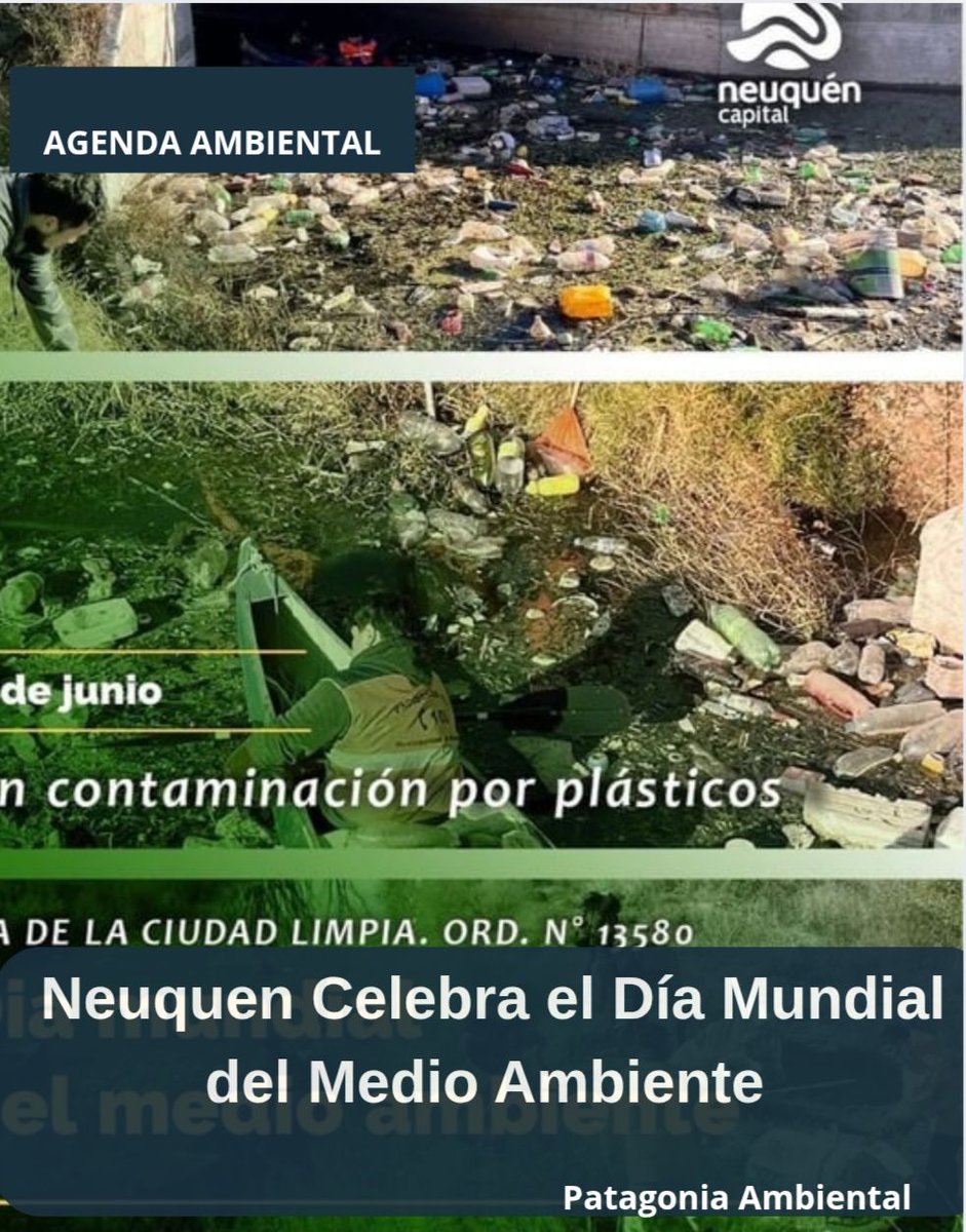 PatAmb's tweet image. Neuquén declara la guerra al plástico ♻️💥
Plazas, talleres y limpieza urbana muestran que la transición ecológica es posible 🌱
🔗 Nota completa: patagoniambiental.com.ar/info/neuquen-l…
#GreenAlert #PlasticFreeCity #NeuquénVerde #ActForNature #PatagoniaSustentable