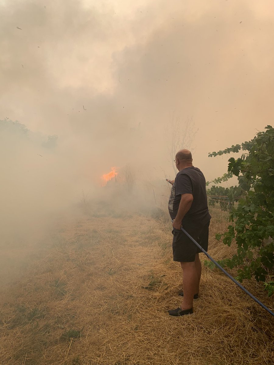 Situación a esta hora en Lamas, Cualedro.