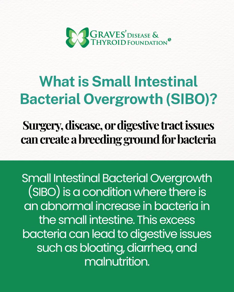 SIBO can be a complication of abdominal surgery or a result of celiac disease but research presented at the annual meeting of the Endocrine Society found that the risk of SIBO was more than twice as high for patients with hypothyroidism versus a control group.