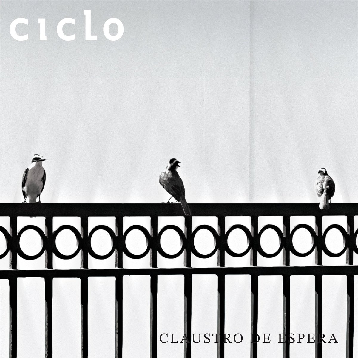 ...en unos días <a href="/ElCiclo/">Ciclo</a>