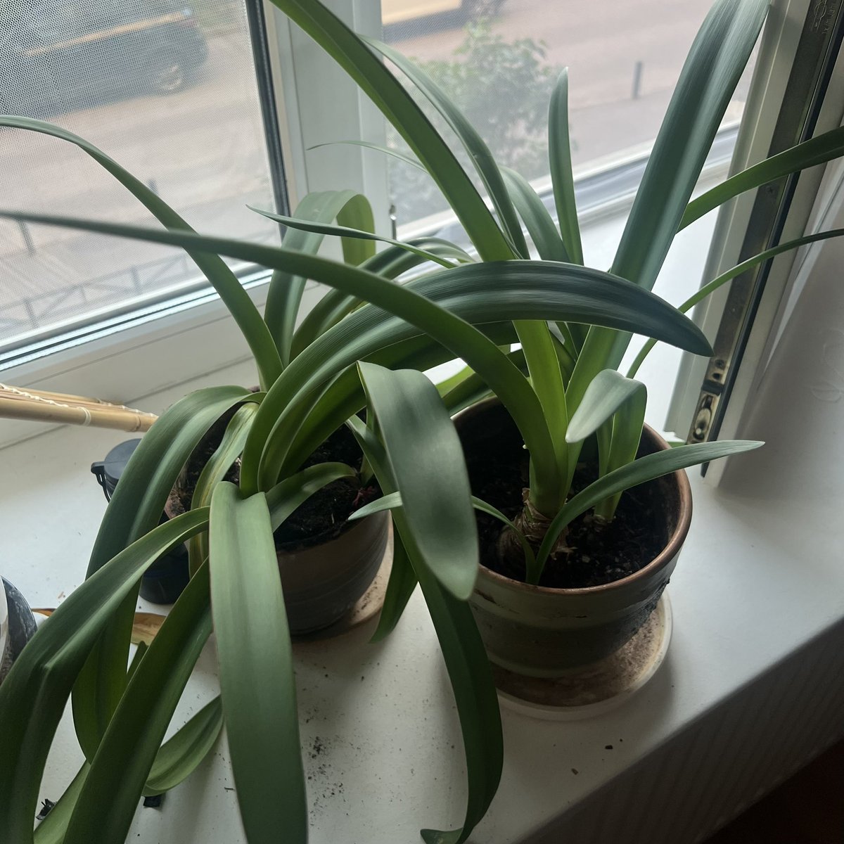 атомный ледокол катюшка tweet media