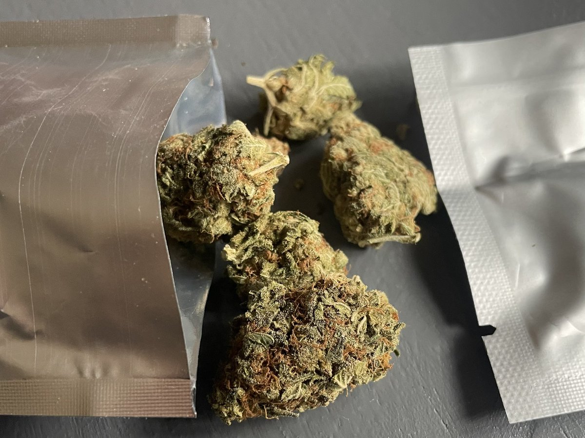 GreenBritainUK's tweet photo. ORDER#50!! 😜Arrived (7g Jack Herer) + Free Hash &amp; Gummy Bear!! Try service for 💯 FREE YES! FREE!! Including postage (see pinned post) Hash, Weed, Gummies, Vapes all via post (UK &amp; Europe) 🇬🇧 #gbcodes #hash #weeduk #greenbritainlegit #greenbritainreviews #telegramvendors #ganja https://t.co/vKwr2yW5YU