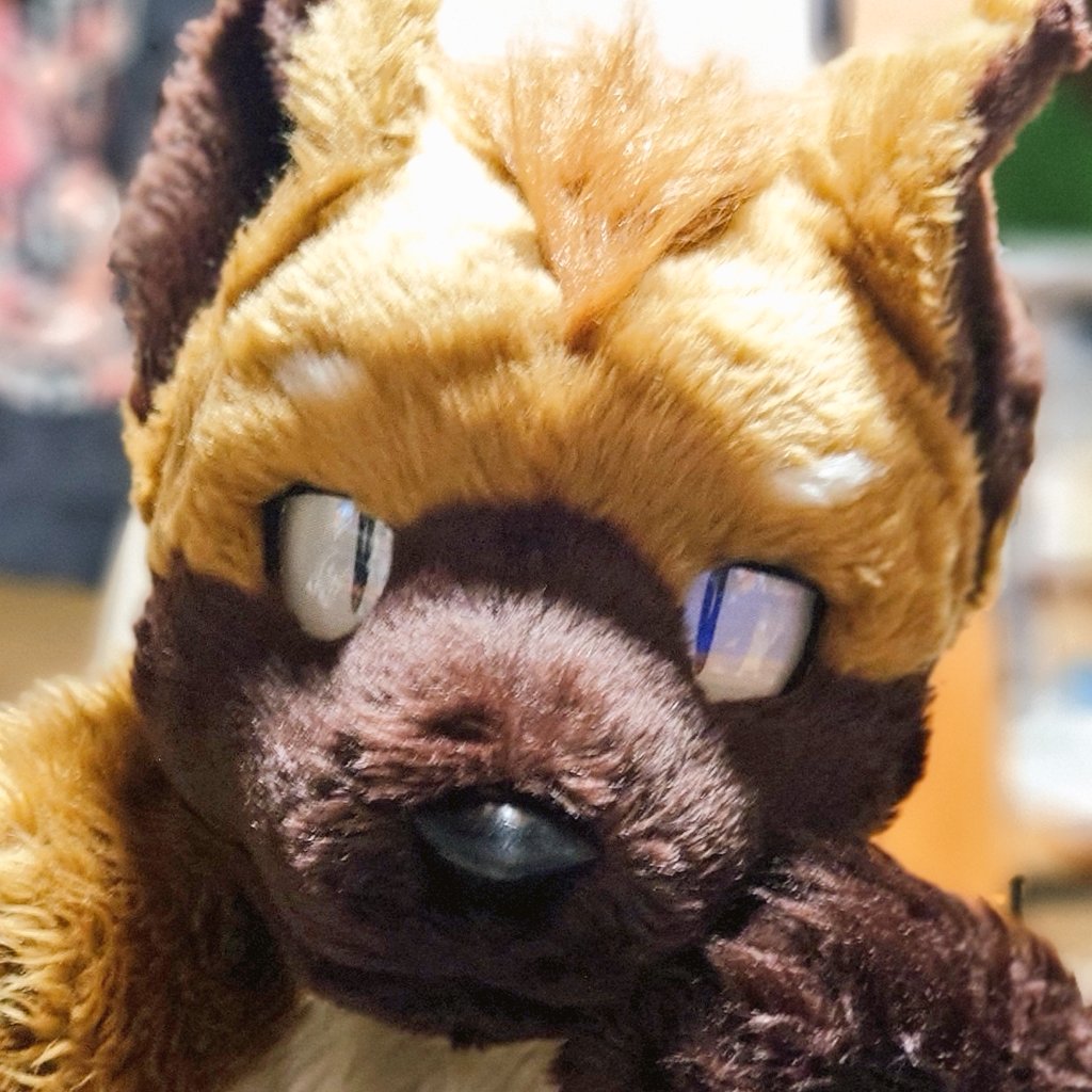 #顔だけで何リポスト来るか 
#FursuitFriday 
#ソソイのソイ