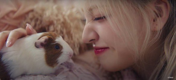 leochaert's tweet photo. liz is the animal fairy of IVE 🫶🥹 https://t.co/7Qm0mE8mNL