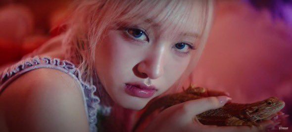 leochaert's tweet photo. liz is the animal fairy of IVE 🫶🥹 https://t.co/7Qm0mE8mNL