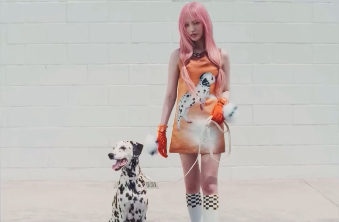 leochaert's tweet photo. liz is the animal fairy of IVE 🫶🥹 https://t.co/7Qm0mE8mNL