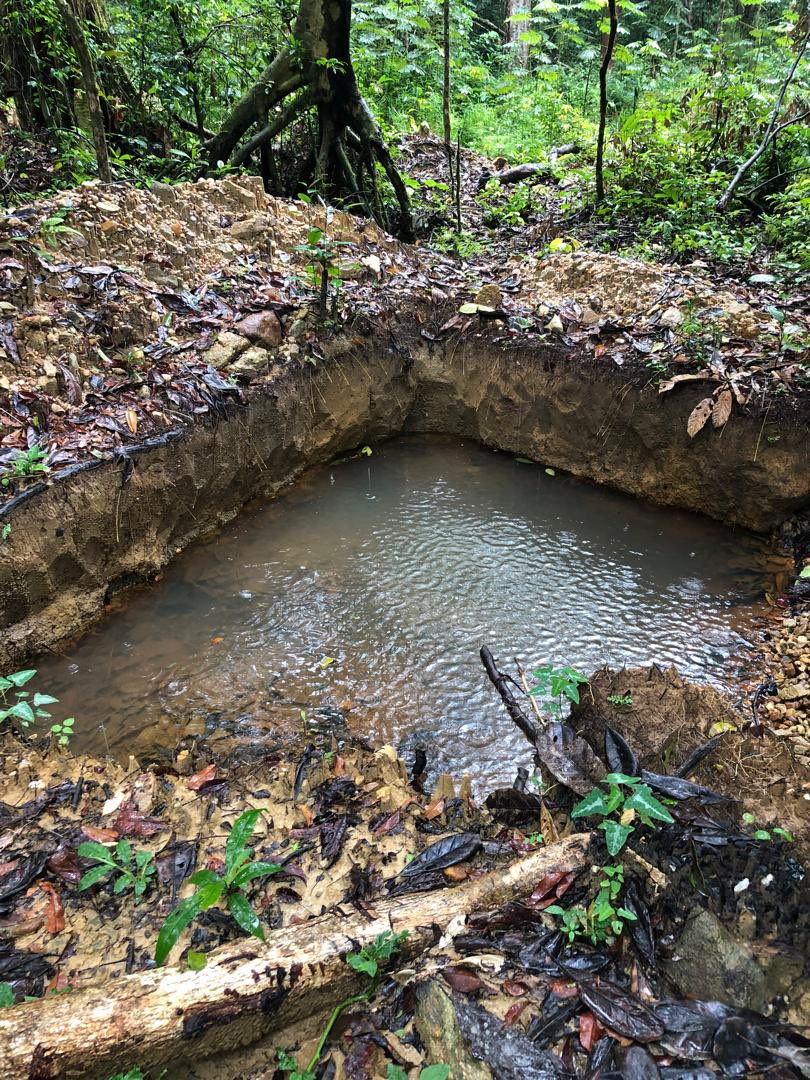 SLEM_SL's tweet photo. Good news &amp; bad news from Kambui South: Forest near Kotomahun village is thriving &amp; full of wildlife this rainy season. But illegal gold mining &amp; dredging are destroying it. We’re meeting with the community to put a permanent stop to these activities. https://t.co/skm4Pi8d3D