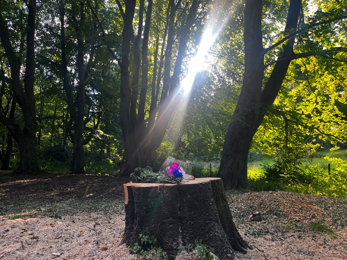 Flowers at the spot where 32 year old Maida Kauser was killed. A branch fell on the Mother of two in Blackburn’s Witton Park on Monday evening. 

Her family say she saved her 5 year old daughter’s life as she pushed her away from danger. 

Full report on <a href="/BBCNWT/">BBC North West</a>