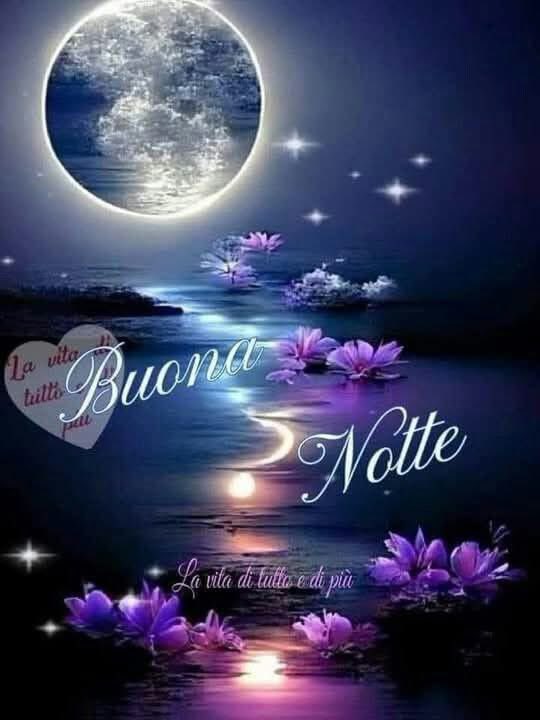 RITABIANCHi56 tweet media