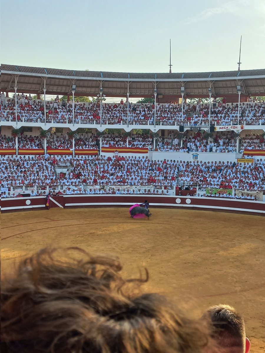 Alexis Gonzalez tweet media