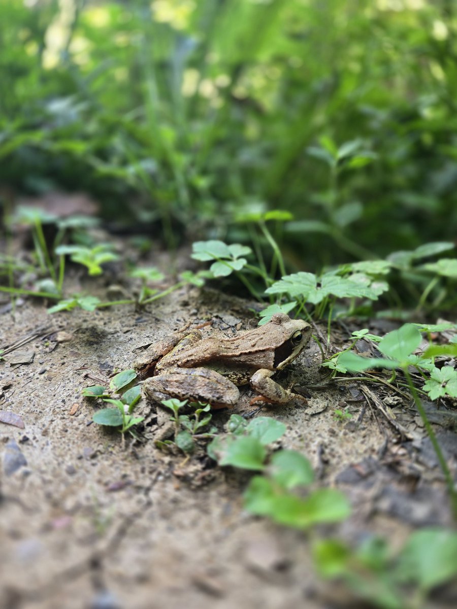 youtu.be/k85mRPqvMbE?si…