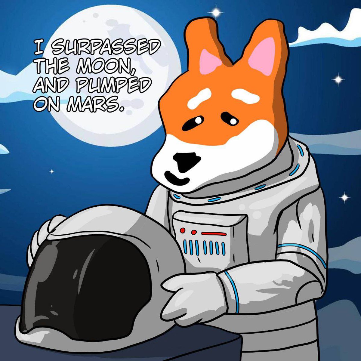 STUPID INU tweet media